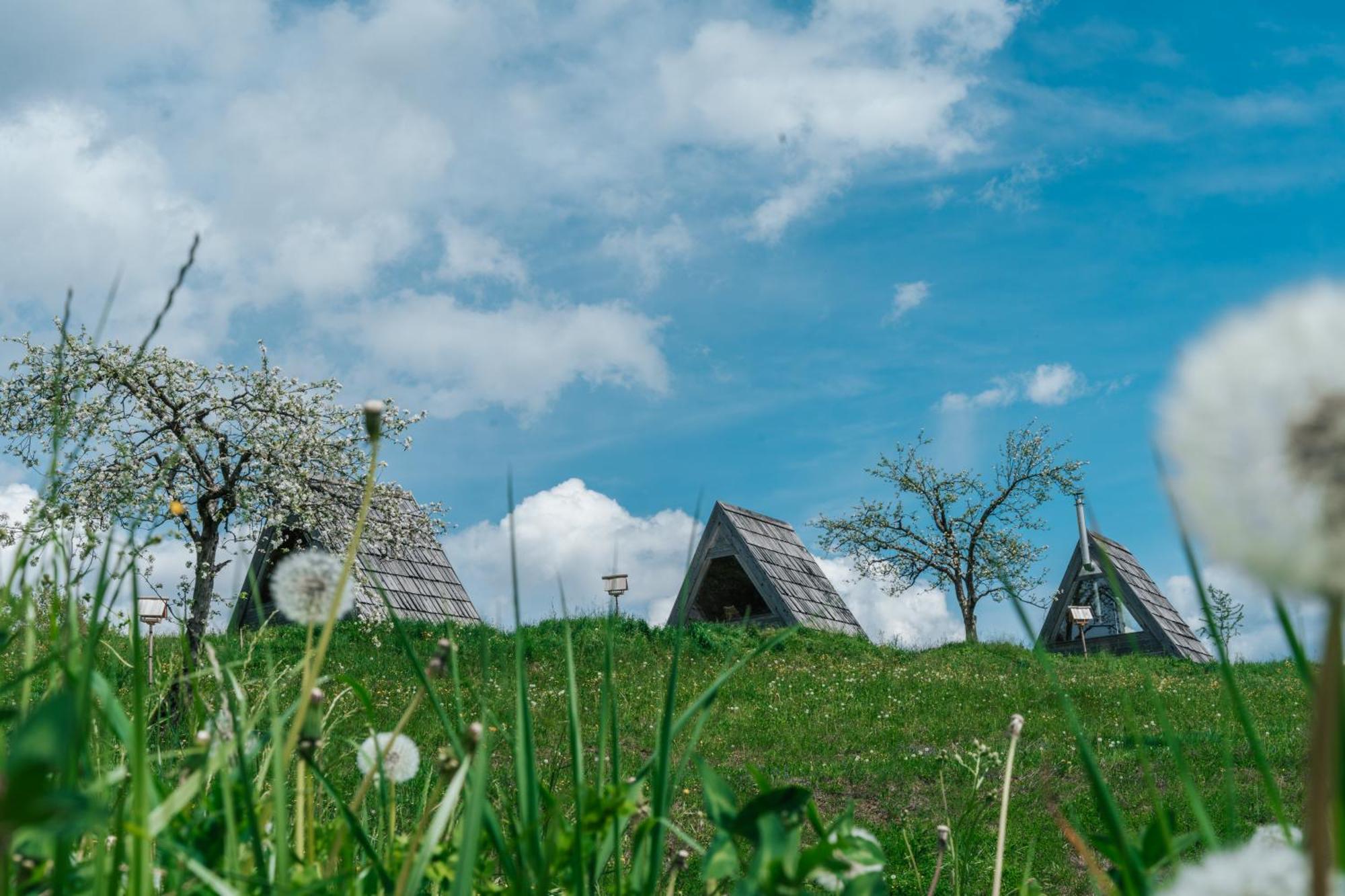 Eko Glamping Resort Kristof Cerklje na Gorenjskem Exteriér fotografie